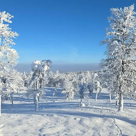 Gorgeous In With House A Mountain View Дом отдыха